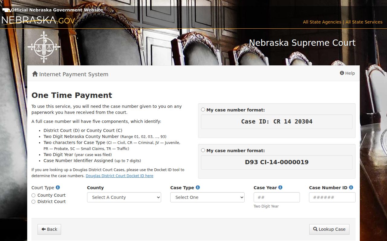 Wayne County case search payment form fields