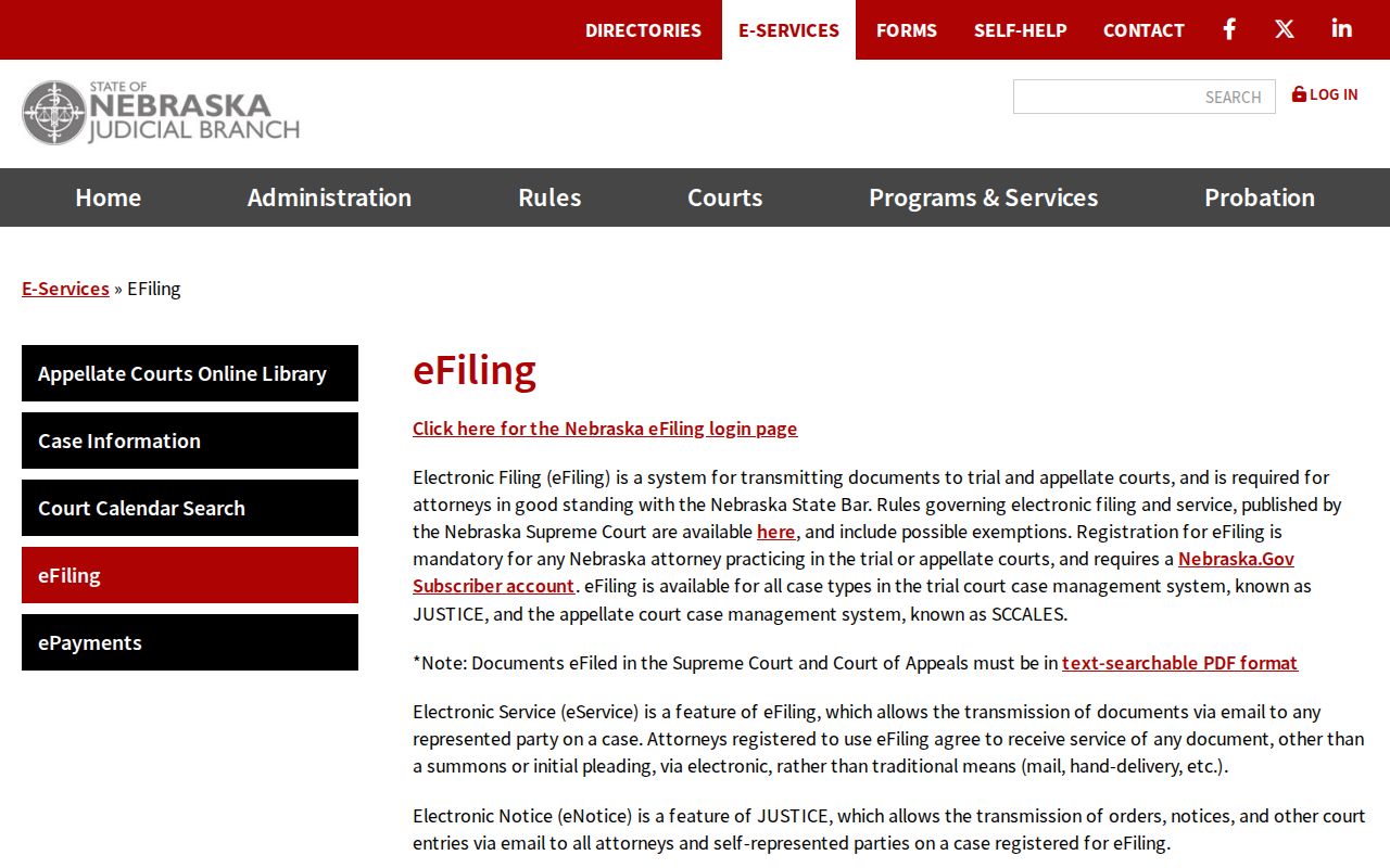 Wayne County civil docket Nebraska eFiling information page