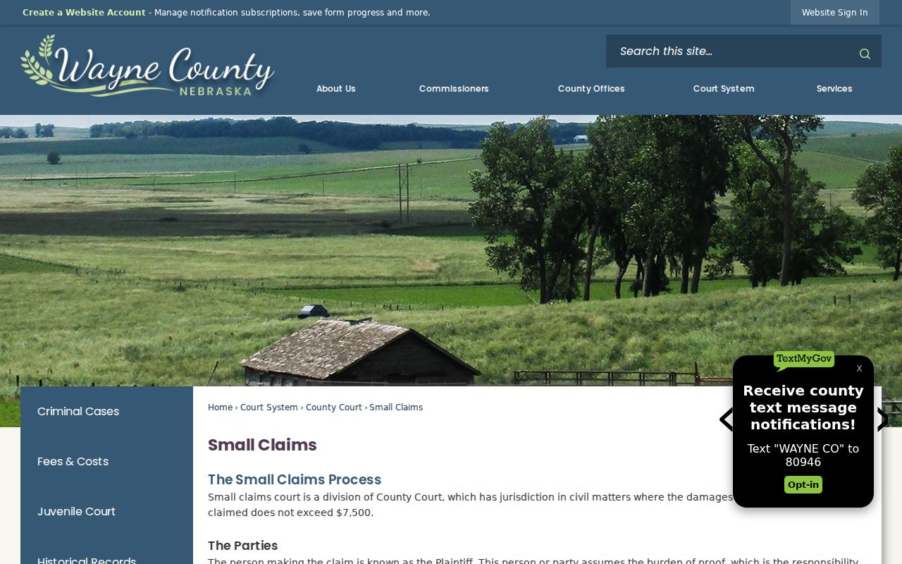 Wayne County civil docket small claims information page