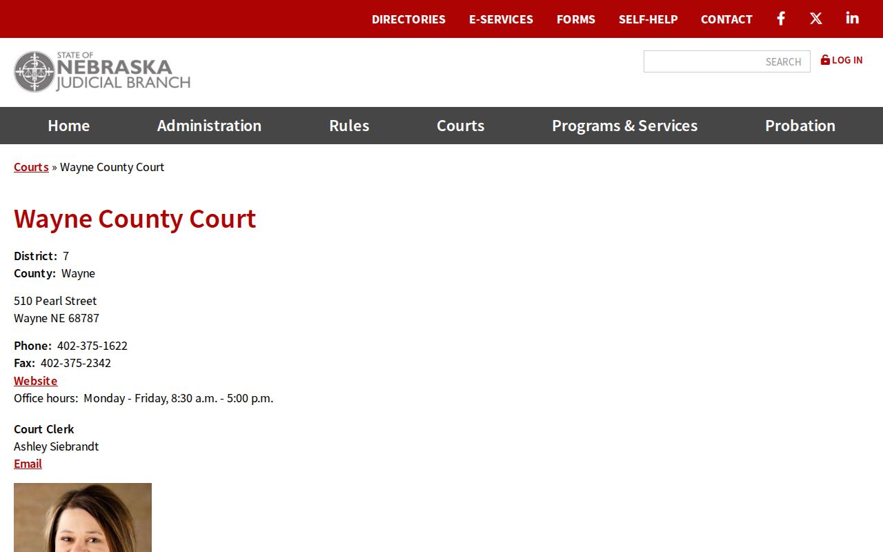 Wayne County court docket state court directory
